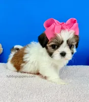 processed/84caae7f-987d-4f94-b24b-e9c07baf2f1c/listing/b625ca30-67dc-42df-93ae-647cb177e79b/f53546b4-10f0-4918-bfa7-0a19f31883d6