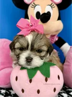 processed/84caae7f-987d-4f94-b24b-e9c07baf2f1c/listing/b83add3f-acdf-4d22-a539-c11b57fd902a/80004e96-0569-4344-a5f3-48884fdd24ac