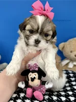 processed/84caae7f-987d-4f94-b24b-e9c07baf2f1c/listing/b83add3f-acdf-4d22-a539-c11b57fd902a/a566a325-60d8-44cb-9db8-7dd3a41d4c00