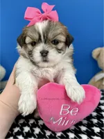 processed/84caae7f-987d-4f94-b24b-e9c07baf2f1c/listing/b83add3f-acdf-4d22-a539-c11b57fd902a/b0302f6e-ea11-427d-a01c-0f50c48cc94f