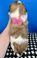 processed/84caae7f-987d-4f94-b24b-e9c07baf2f1c/listing/b83add3f-acdf-4d22-a539-c11b57fd902a/c0f4256b-774d-4cce-bc72-2cbd9235cb05