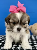 processed/84caae7f-987d-4f94-b24b-e9c07baf2f1c/listing/b83add3f-acdf-4d22-a539-c11b57fd902a/f0439a07-2674-4474-9a40-3180f828fb5a