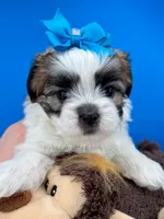 processed/84caae7f-987d-4f94-b24b-e9c07baf2f1c/listing/cab3f533-46a7-4e81-8e3d-b573cd91ee0a/6d7d32a3-972f-4160-b6b5-0f1556df4e68