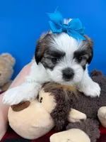 processed/84caae7f-987d-4f94-b24b-e9c07baf2f1c/listing/cab3f533-46a7-4e81-8e3d-b573cd91ee0a/75175006-16f7-44d1-8d49-8b1f9bdffd04