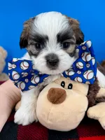 processed/84caae7f-987d-4f94-b24b-e9c07baf2f1c/listing/cab3f533-46a7-4e81-8e3d-b573cd91ee0a/7fee0108-8a14-47f1-9ba0-490b6648fd49