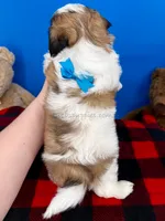 processed/84caae7f-987d-4f94-b24b-e9c07baf2f1c/listing/cab3f533-46a7-4e81-8e3d-b573cd91ee0a/a0cb6c57-e2e2-4c5c-adf0-c4a29a95f417