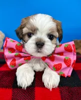 processed/84caae7f-987d-4f94-b24b-e9c07baf2f1c/listing/fca5f659-5a7d-4958-9ab3-e536cb910f88/5b9f5121-bdfa-45b2-94b5-653853807415