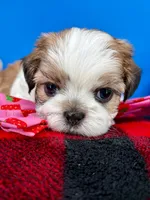 processed/84caae7f-987d-4f94-b24b-e9c07baf2f1c/listing/fca5f659-5a7d-4958-9ab3-e536cb910f88/5f5bade0-4c8a-4405-809c-1e5d7742e865