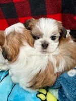 processed/84caae7f-987d-4f94-b24b-e9c07baf2f1c/listing/fca5f659-5a7d-4958-9ab3-e536cb910f88/665e4481-4929-4fd0-8f0e-7dad8c14c8f1