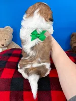 processed/84caae7f-987d-4f94-b24b-e9c07baf2f1c/listing/fca5f659-5a7d-4958-9ab3-e536cb910f88/9f5e2fc0-f3bb-4dd7-8552-3afc2ba68914