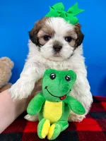 processed/84caae7f-987d-4f94-b24b-e9c07baf2f1c/listing/fca5f659-5a7d-4958-9ab3-e536cb910f88/afdd60a2-e34b-4c9c-8ee5-cce1df7d85f5