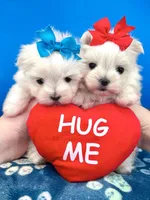 processed/84caae7f-987d-4f94-b24b-e9c07baf2f1c/listing/ff2d307b-182d-48fe-89fa-acbe1ee2a7aa/88d12579-4ff3-49e8-baa1-07f3026d6b06