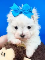 processed/84caae7f-987d-4f94-b24b-e9c07baf2f1c/listing/ff2d307b-182d-48fe-89fa-acbe1ee2a7aa/955d6826-9733-4e0e-903c-375de8973c9b