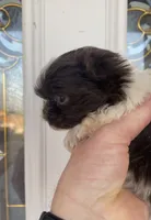 processed/84cd24f5-3e86-426b-b58e-3c35d4f94008/listing/047661d4-e3e4-4586-972a-9e7843f773fa/3987e423-39df-45fa-ae4e-95cbd4c17a99