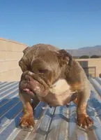 processed/84cd24f5-3e86-426b-b58e-3c35d4f94008/listing/430f72d0-6be0-4e32-a830-1805f86d793d/470f9d58-25f2-4f3d-b182-5eec67d04242