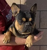 processed/84cd24f5-3e86-426b-b58e-3c35d4f94008/listing/662eef43-f466-4f1b-a580-77228fd421c1/42fa1d37-5aaf-4da7-b34e-b3cddaefc8f6