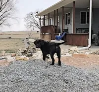 processed/84d0411a-c072-414c-8134-f4a76c6f5206/listing/3a31602d-ba00-4ea0-93cf-6e76bb817522/0986639d-c6de-49a6-8f3f-6d58f3337fe8