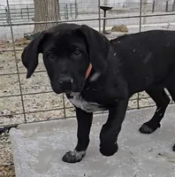 processed/84d0411a-c072-414c-8134-f4a76c6f5206/listing/3a31602d-ba00-4ea0-93cf-6e76bb817522/14811ec5-b14d-48c4-91bf-e587fe2cb6b0