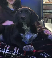 processed/84d0411a-c072-414c-8134-f4a76c6f5206/listing/3a31602d-ba00-4ea0-93cf-6e76bb817522/232f1100-1487-415e-b528-2d9fb308651b