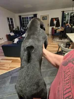 processed/84d0411a-c072-414c-8134-f4a76c6f5206/listing/3a31602d-ba00-4ea0-93cf-6e76bb817522/754300de-e376-446a-afa5-6e5354d36f1a