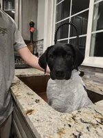 processed/84d0411a-c072-414c-8134-f4a76c6f5206/listing/3a31602d-ba00-4ea0-93cf-6e76bb817522/8cfeb3e0-f63b-4cf2-baee-0c3b0f1f95ec