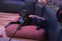 processed/84d0411a-c072-414c-8134-f4a76c6f5206/listing/3a31602d-ba00-4ea0-93cf-6e76bb817522/bf6a2e8a-6020-414c-acd2-0e0ad60a8ad5