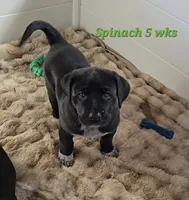 processed/84d0411a-c072-414c-8134-f4a76c6f5206/listing/3a31602d-ba00-4ea0-93cf-6e76bb817522/c9eda7aa-616b-411e-9ece-32e74a28640f