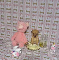 Tinker, a female Chihuahua for sale in Houston, TX – Photo 2 of 6