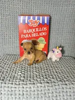 Akira, a male Chihuahua for sale in Houston, TX – Photo 6 of 7