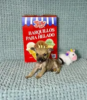 Penny, a male Chihuahua for sale in Houston, TX – Photo 5 of 7