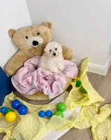 Aries , a female Maltipoo for sale in Houston, TX – 6 of 8