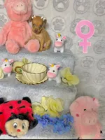 Adele, a female Chihuahua for sale in Houston, TX – Photo 7 of 7