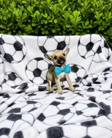 Little Comet, a male Chihuahua for sale in Houston, TX – 1 of 9