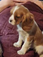 processed/84d83856-70a4-4cb7-acb0-67e5dc508dc5/listing/d0b0bf24-f45a-43c3-afb0-1dca9e6d0dd6/962300d9-d3a4-402d-ba08-9cb02b9acbde