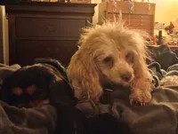 processed/84dd816a-6423-46f8-b087-da76bef35b44/listing/b46fab5c-e78c-4602-a7c5-90db42bc0d1f/73b0e006-3f7f-4b82-a168-b052ff593ee3