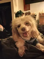 processed/84dd816a-6423-46f8-b087-da76bef35b44/listing/b46fab5c-e78c-4602-a7c5-90db42bc0d1f/e53d47ae-a17a-48c2-8b6b-1271aa0a3ded