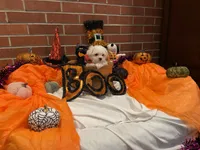 Boy1, a male Maltese for sale in Jasper, IN – 4 of 8