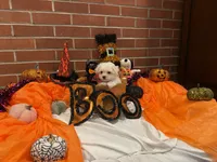 Boy1, a male Maltese for sale in Jasper, IN – 6 of 8
