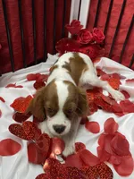 processed/84ded415-4d34-4d19-b3a2-3140f62c0fe1/listing/c33cea81-110d-465e-b166-5244741bf248/6c91487e-8a24-4d6a-ae79-0dd96b939316