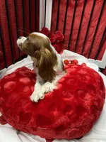 processed/84ded415-4d34-4d19-b3a2-3140f62c0fe1/listing/c33cea81-110d-465e-b166-5244741bf248/b1042d87-bae7-4718-88e5-d4f72f47f98e