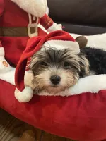 processed/84ded415-4d34-4d19-b3a2-3140f62c0fe1/listing/e2cc4e83-ed76-47bc-9a08-2e45ebb33fb9/081832de-3be5-4d09-b782-b70df03cf1cf