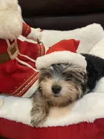 processed/84ded415-4d34-4d19-b3a2-3140f62c0fe1/listing/e2cc4e83-ed76-47bc-9a08-2e45ebb33fb9/5d858c76-a9eb-4523-a5ac-11eab5cdaae7