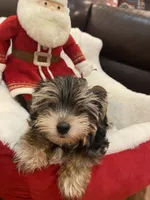 processed/84ded415-4d34-4d19-b3a2-3140f62c0fe1/listing/e2cc4e83-ed76-47bc-9a08-2e45ebb33fb9/9ab388f9-3d37-42d6-81e9-e8cdc551697a