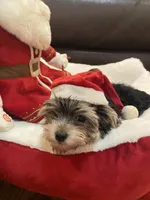 processed/84ded415-4d34-4d19-b3a2-3140f62c0fe1/listing/e2cc4e83-ed76-47bc-9a08-2e45ebb33fb9/d9220efd-d8ad-4b82-87fe-d26ee5aed576