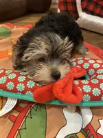 processed/84ded415-4d34-4d19-b3a2-3140f62c0fe1/listing/e2cc4e83-ed76-47bc-9a08-2e45ebb33fb9/e4694167-f2f8-4977-b3b4-a063d56248a0