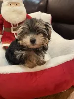 processed/84ded415-4d34-4d19-b3a2-3140f62c0fe1/listing/e2cc4e83-ed76-47bc-9a08-2e45ebb33fb9/e5eb7779-1035-4996-af86-af5016fa6fa2