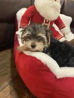 processed/84ded415-4d34-4d19-b3a2-3140f62c0fe1/listing/e2cc4e83-ed76-47bc-9a08-2e45ebb33fb9/edbbe28f-b25f-4735-b0c9-be92d7cbd8de