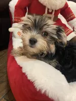 processed/84ded415-4d34-4d19-b3a2-3140f62c0fe1/listing/e2cc4e83-ed76-47bc-9a08-2e45ebb33fb9/f1670559-404a-4a0a-b85c-51fb9033aa49