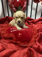 processed/84ded415-4d34-4d19-b3a2-3140f62c0fe1/listing/ee0db5e4-f8ba-4af8-884a-99743b544cbe/591bb235-e87b-480d-b763-9fe20fa22bbb