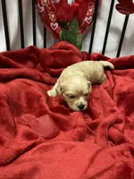 processed/84ded415-4d34-4d19-b3a2-3140f62c0fe1/listing/ee0db5e4-f8ba-4af8-884a-99743b544cbe/82e0e4de-bd9c-4e12-ad89-350065a3090f